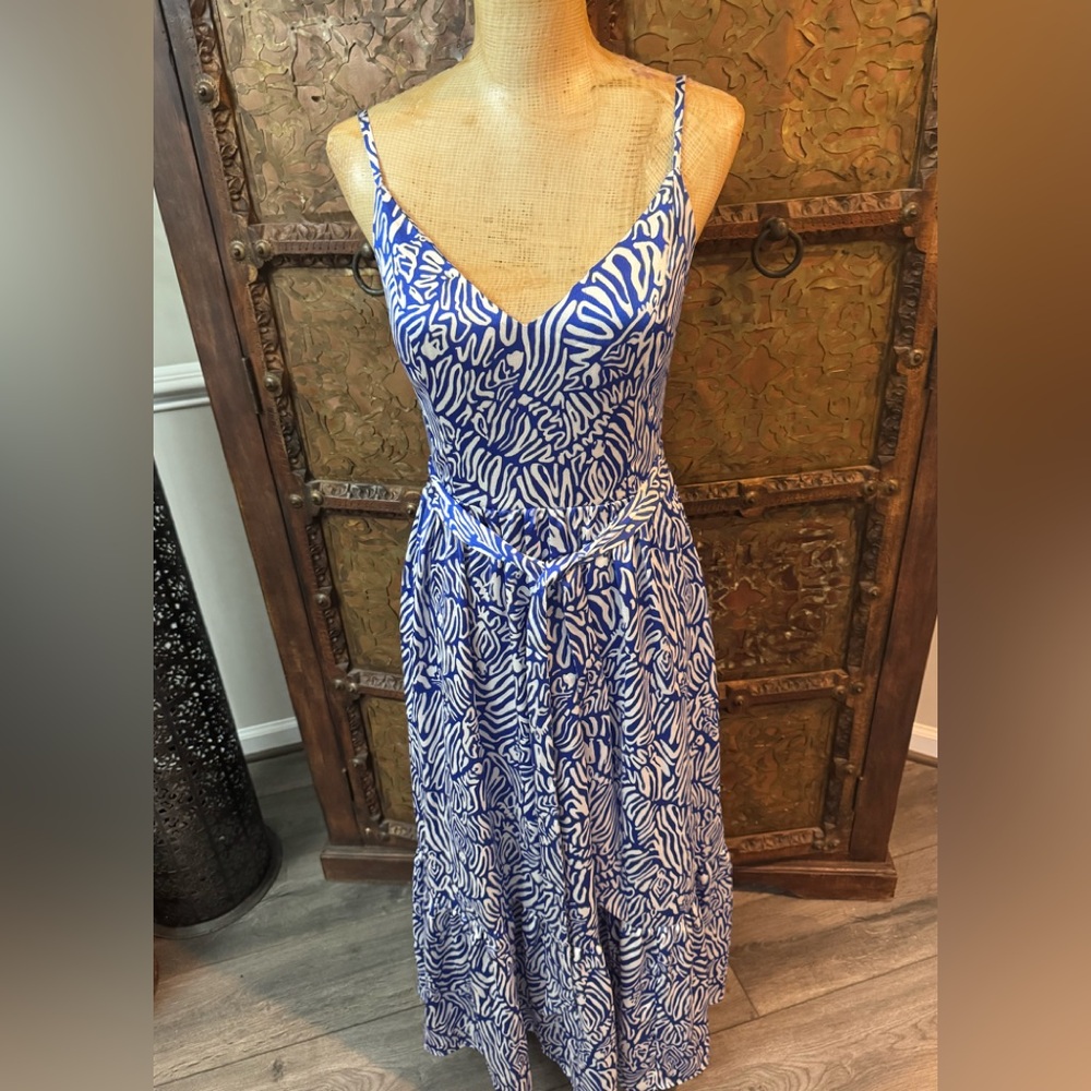 Lilly Pulitzer Blue and White Printed‎ Spaghetti Strap Maxi Dress 2